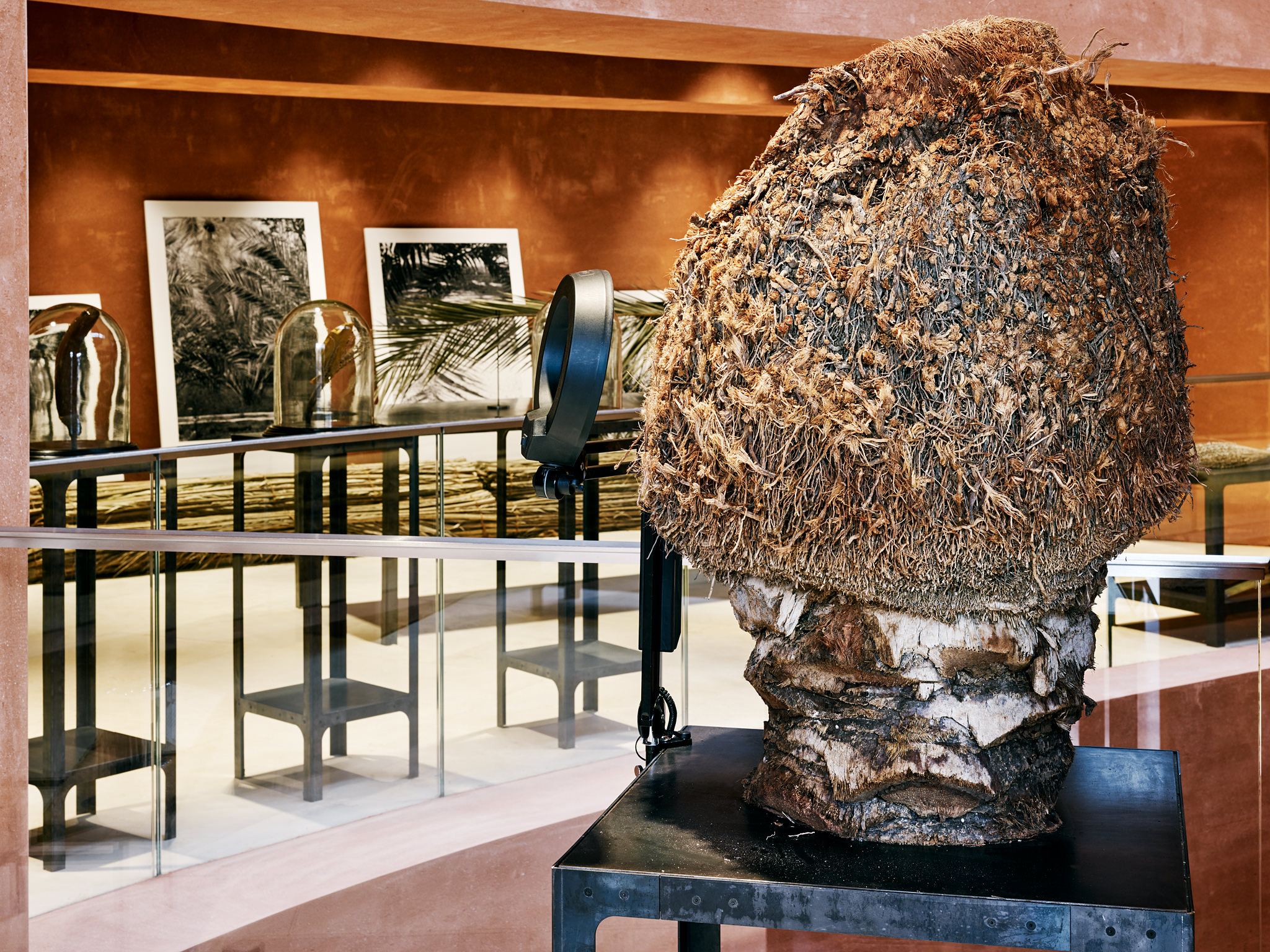 E15547 Alpa 050384 SCREEN